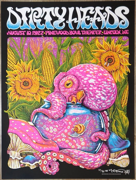 2022 Dirty Heads - Lincoln Silkscreen Concert Poster by Nathaniel