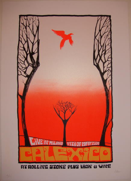 2006 Calexico Iron & Wine - Milan Silkscreen Concert Poster by Malleus