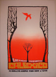 2006 Calexico Iron & Wine - Silkscreen Concert Poster by Malleus