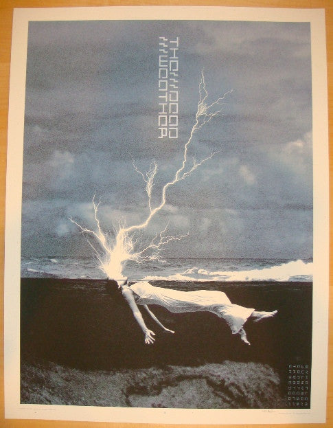 2010 The Dead Weather - Chicago Concert Poster by Rob Jones