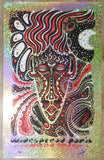 2014 Widespread Panic - Birmingham Sparkle Foil Variant Concert Poster by Jeff Wood