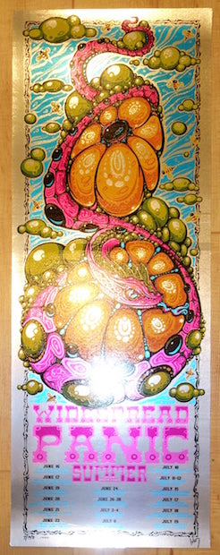 2015 Widespread Panic - Summer Tour Silver Foil Silkscreen Poster by Jeff Wood