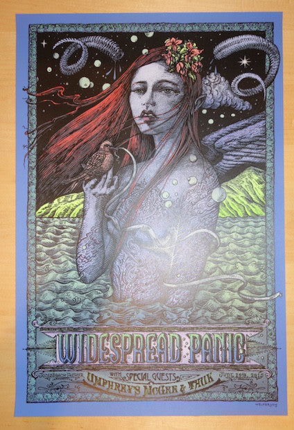 2015 Widespread Panic - Jones Beach Silkscreen Concert Poster by David Welker