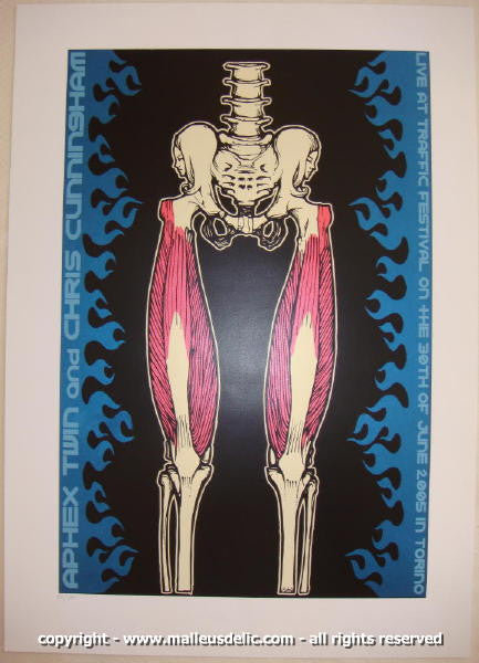 2005 Aphex Twin - Torino Silkscreen Concert Poster by Malleus