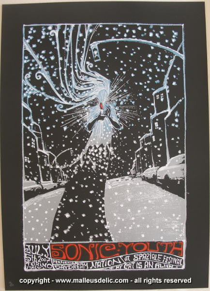 2007 Sonic Youth - Torino Silkscreen Concert Poster by Malleus