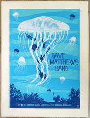 2010 Dave Matthews Band - Virginia Beach Silkscreen Concert Poster by Methane