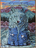 2024 Dave Matthews Band - Greenwood Village II Concert Poster by Todd Slater & Bioworkz