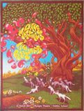 2017 Dave Matthews & Tim Reynolds - Dublin Concert Poster by James Flames