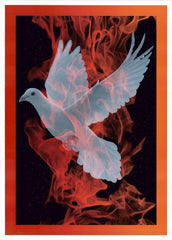 2010 Birth of a Phoenix 1 - Silkscreen Art Print by Todd Slater