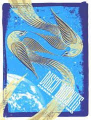 2007 Disco Biscuits - Philadelphia Silkscreen Concert Poster by Todd Slater