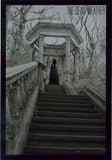2009 The Dead Weather - Seattle Silkscreen Concert Poster by Todd Slater