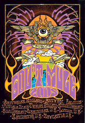 2005 Gov't Mule - European Tour Silkscreen Concert Poster by Richard Biffle