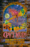 2008 Gov't Mule - Boston Lenticular Concert Poster by Steve Johannsen