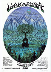 2011 Wakarusa - Night Variant Silkscreen Concert Poster by Emek