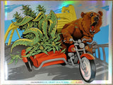 2021 311 - Sacramento Foil Variant Silkscreen Concert Poster by Nate Dino