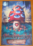 2009 Allman Brothers Band - NYC 3-D Concert Poster by Jeff Wood