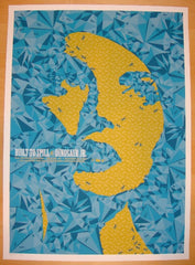 2009 Built to Spill & Dinosaur Jr. Concert Poster by Todd Slater