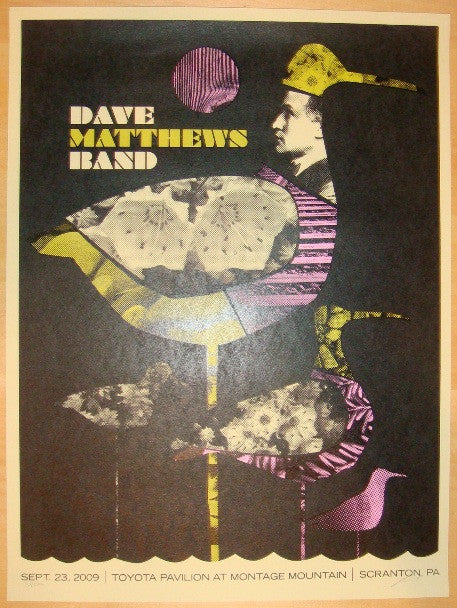 2009 Dave Matthews Band - Scranton Concert Poster by Methane