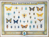 2022 Dave Matthews Band - Summer Tour Silkscreen Concert Poster by Half Hazard