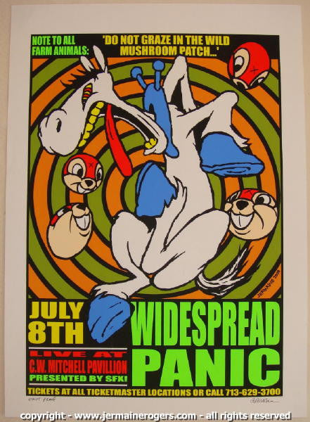 2000 Widespread Panic - Woodlands Concert Poster by Jermaine