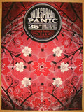 2011 Widespread Panic - DC Silkscreen Concert Poster by Helton