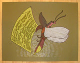 2009 Andrew Bird - NYC II Silkscreen Concert Poster by Jay Ryan