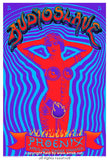 2005 Audioslave - Phoenix Silkscreen Concert Poster by Emek