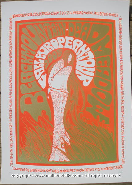2005 Black Mountain Silkscreen Concert Poster by Malleus