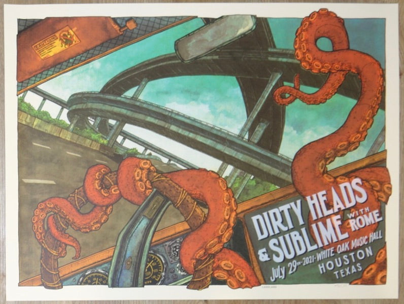2021 Dirty Heads & Sublime w/ Rome - Houston Silkscreen Concert Poster by Landland