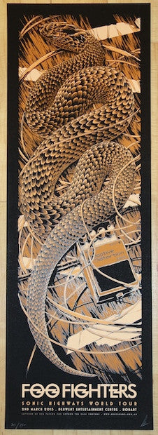 2015 Foo Fighters - Hobart Silkscreen Concert Poster by Ken Taylor