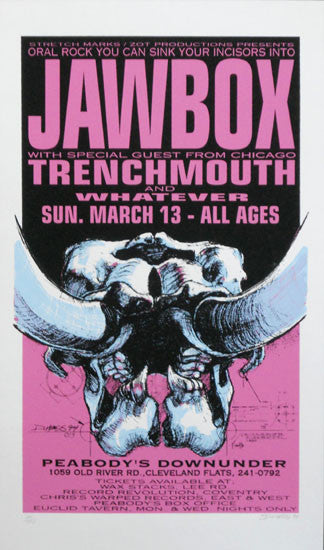 1994 Jawbox - Cleveland Silkscreen Concert Poster by Derek Hess (94-06)