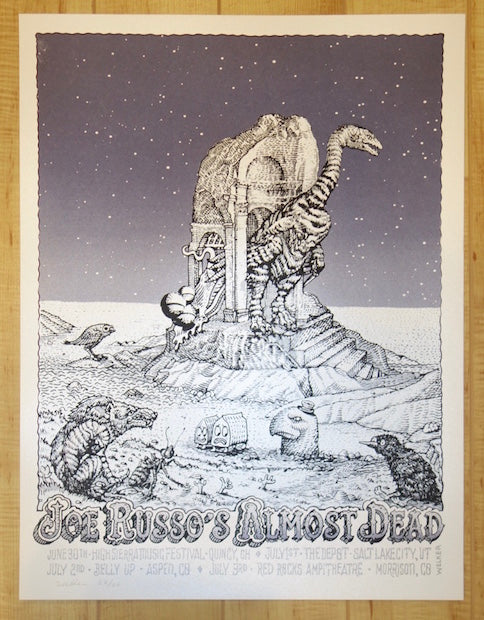 2016 Joe Russo's Almost Dead - Summer Tour Silkscreen Concert Poster by David Welker