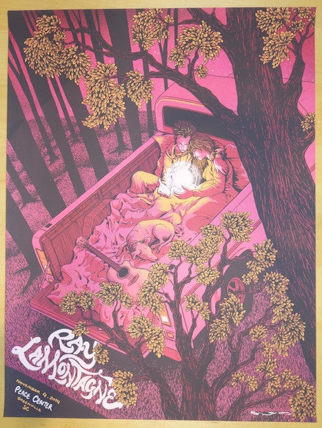 2014 Ray Lamontagne - Greenville Silkscreen Concert Poster by