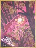 2014 Ray Lamontagne - Greenville Silkscreen Concert Poster by James Flames